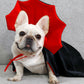 Halloween Creative Cape Pet puku